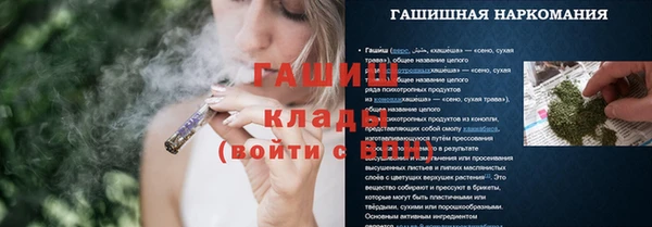 индика Нефтегорск
