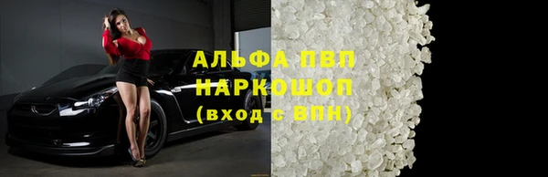 PSILOCYBIN Аркадак