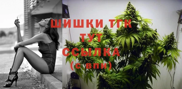 PSILOCYBIN Аркадак