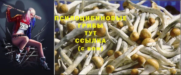 каннабис Арсеньев